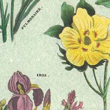 Mixed Botanical Flowers Leaves Print Italian Paper ~ Tassotti